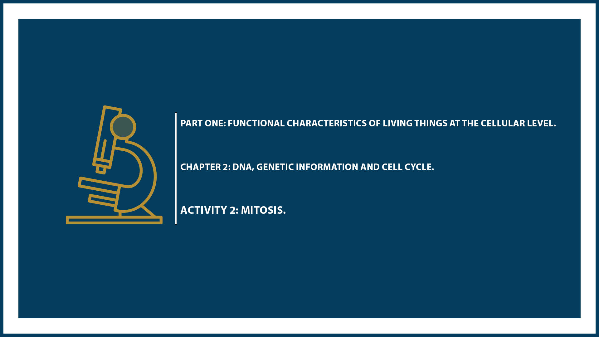 Part One: Chapter 2 - Activity 2: Mitosis